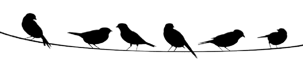 Vögel auf dem Seil